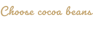 Choose cocoa beans